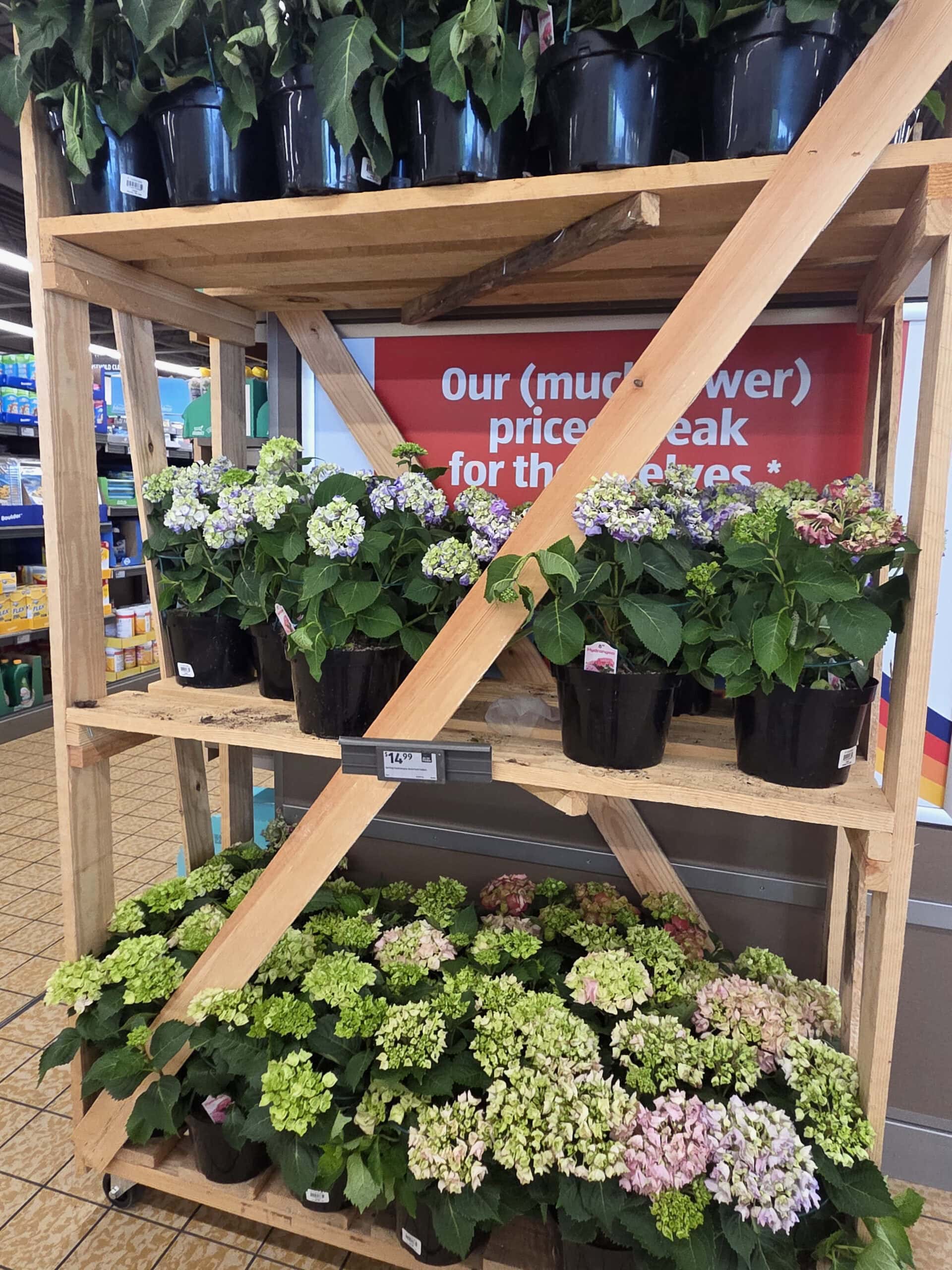 Aldi Finds This Week