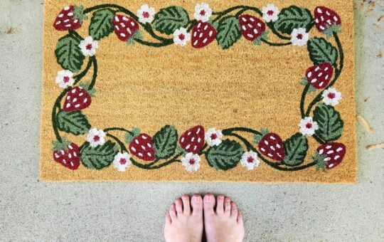 kohls strawberry doormat