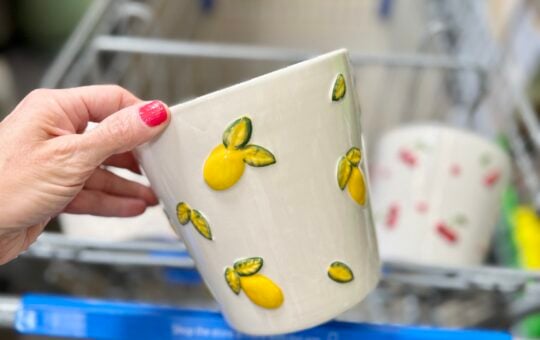 lemon walmart planter