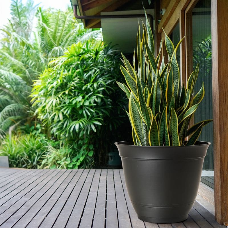 lowes planter on porch