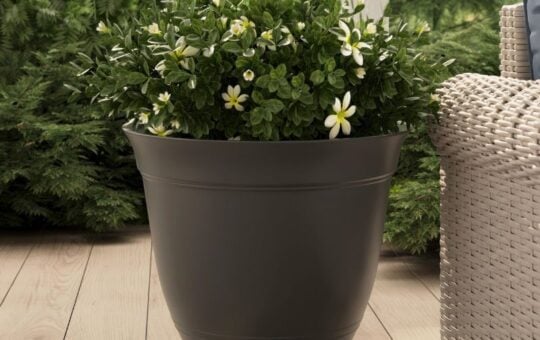 lowes planter