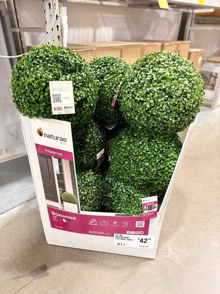 lowes topiary boxwood ball