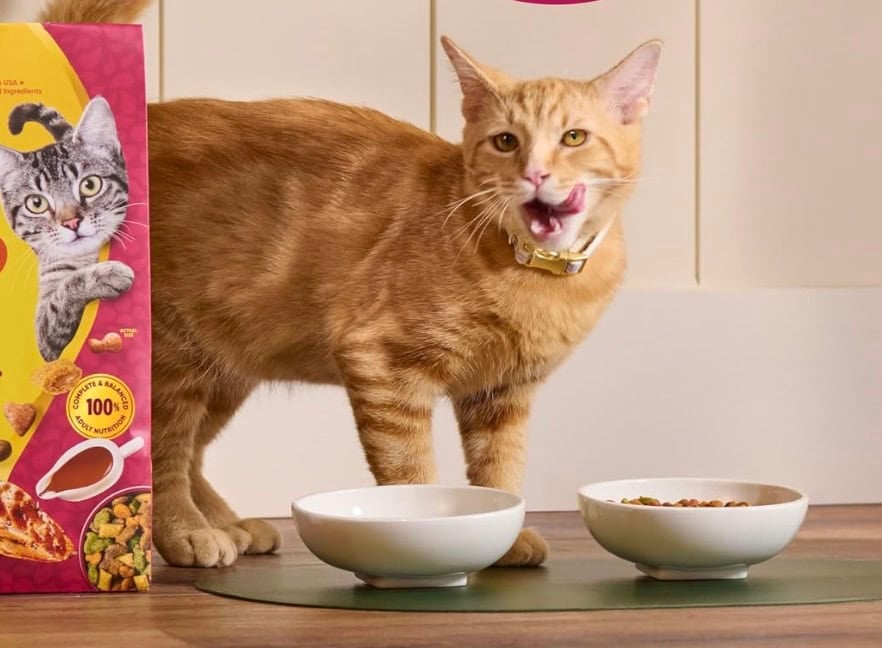 meow mix gravy bursts dry cat food meow mix gravy bursts dry cat food