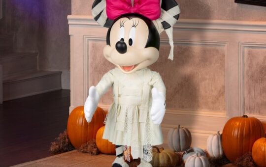 minnie mouse mummy