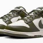 nike dunks (2)