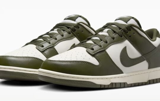 nike dunks (2)
