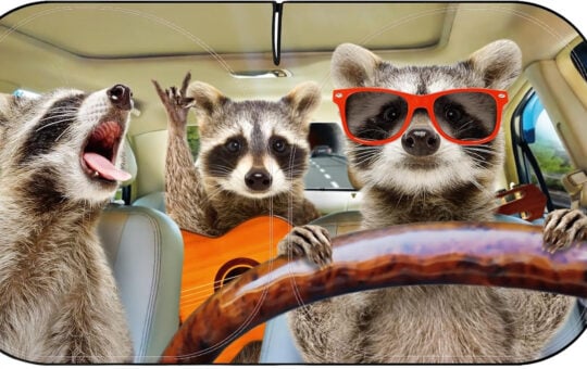 racoon sun shade edited