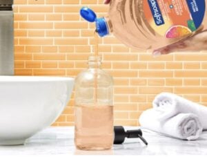 softsoap crisp clean refills