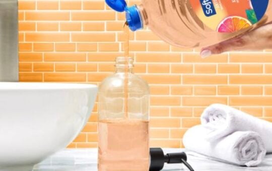 softsoap crisp clean refills