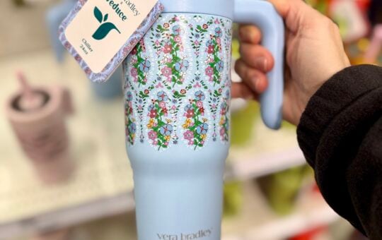 target blue vera tumbler