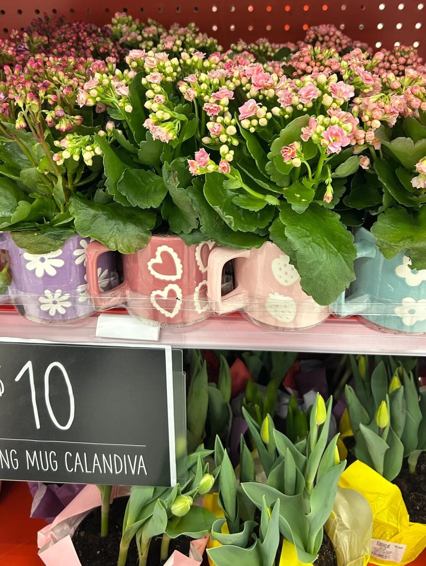 target mug plants