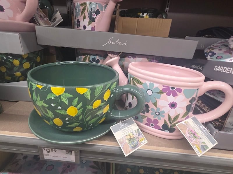 teacup planter