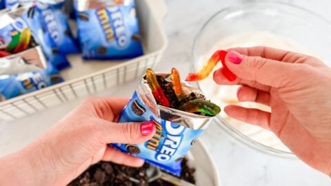 walking dirt cake dessert (3)