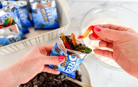 walking dirt cake dessert (3)