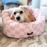 washable dog bed