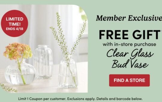 world market freebie (1)