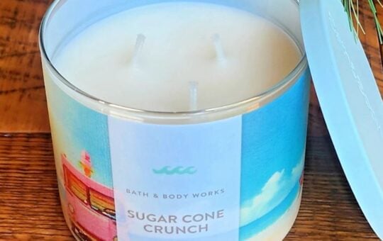 Bath body works candle (3)