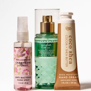Bath body works minis (4)