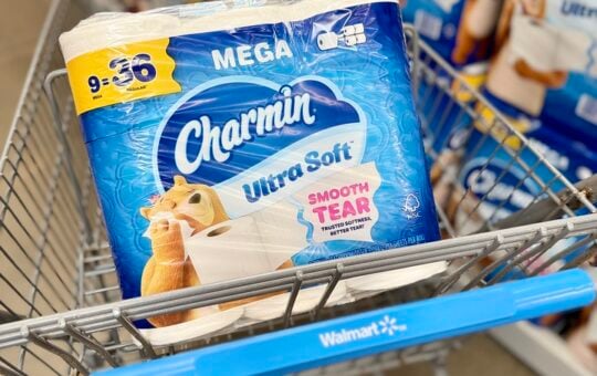 Charmin Ultra Soft Walmart Cart