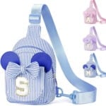 Disney Inspired Crossbody