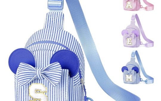 Disney Inspired Crossbody