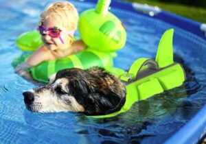 Dogcheer Dog Shark Life Jacket