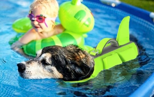 Dogcheer Dog Shark Life Jacket