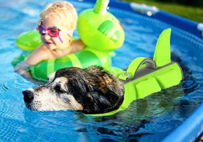 Dogcheer Dog Shark Life Jacket