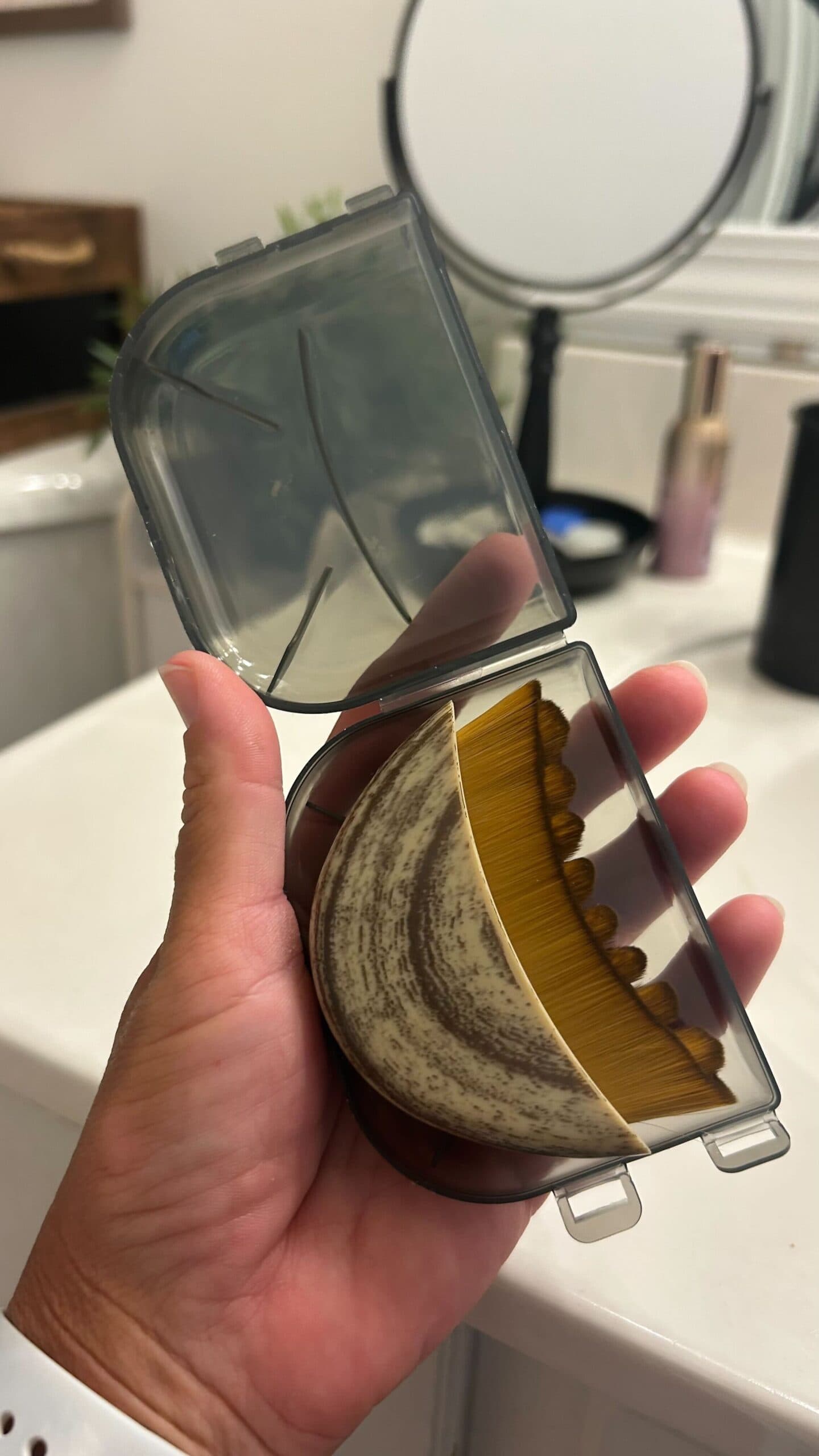 Dry Brushing Lymphatic Drainage Brush Bridgett Case