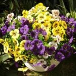 Fanfantoey Artificial Flowers