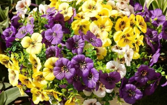 Fanfantoey Artificial Flowers