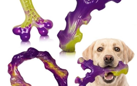 Frienhund Tough Dog Toys