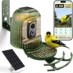 HIXX Smart Bird Feeder