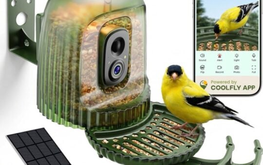 HIXX Smart Bird Feeder
