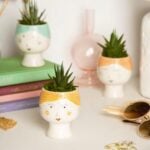 LiveTrends House Plants