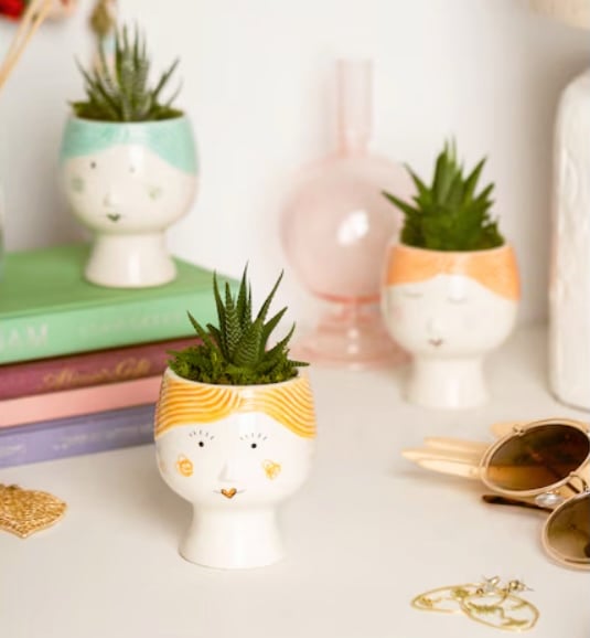 LiveTrends House Plants