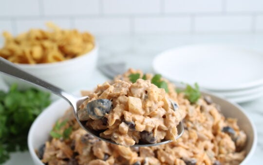 Mexican Chicken Salad Final
