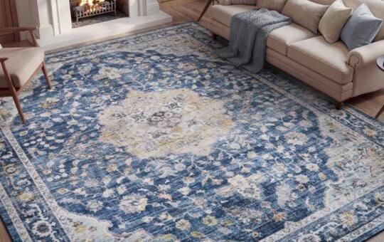 PADOOR 5X7 Area Rug