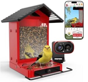 RichBird Smart Bird Feeder Camera