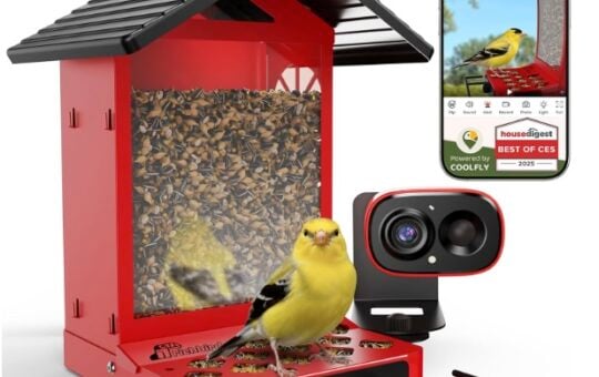 RichBird Smart Bird Feeder Camera