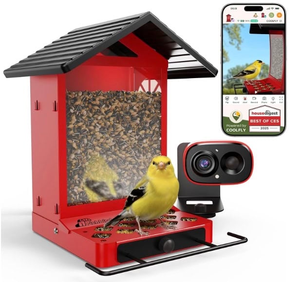 RichBird Smart Bird Feeder Camera