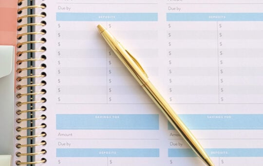 Savings Account Ledger PPP