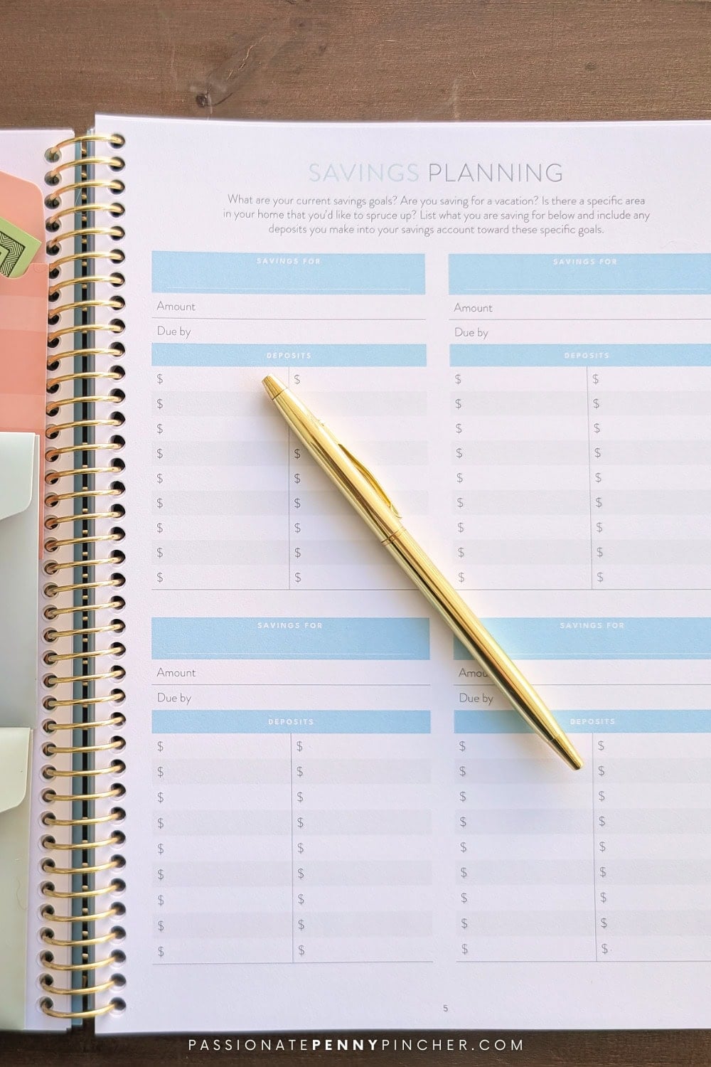 Savings Account Ledger PPP