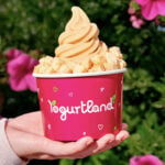 Yogurtland