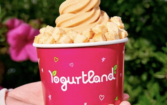 Yogurtland