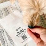 amazon pet day