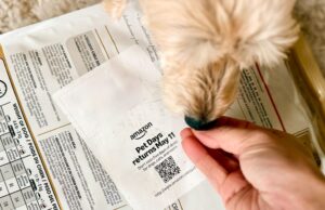 amazon pet day