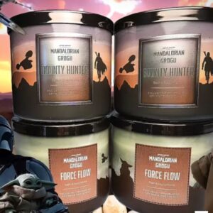 bath body works candles (4)