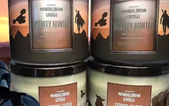 bath body works candles (4)