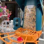 bird feeder camera michelle